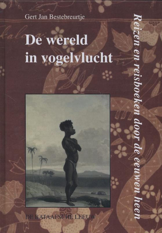 Omslag van De wereld in vogelvlucht