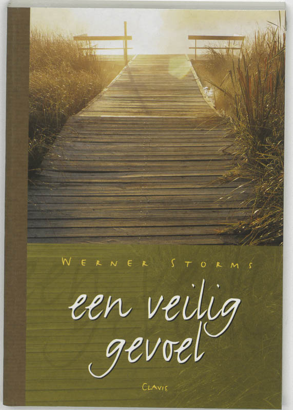 Omslag van Een veilig gevoel