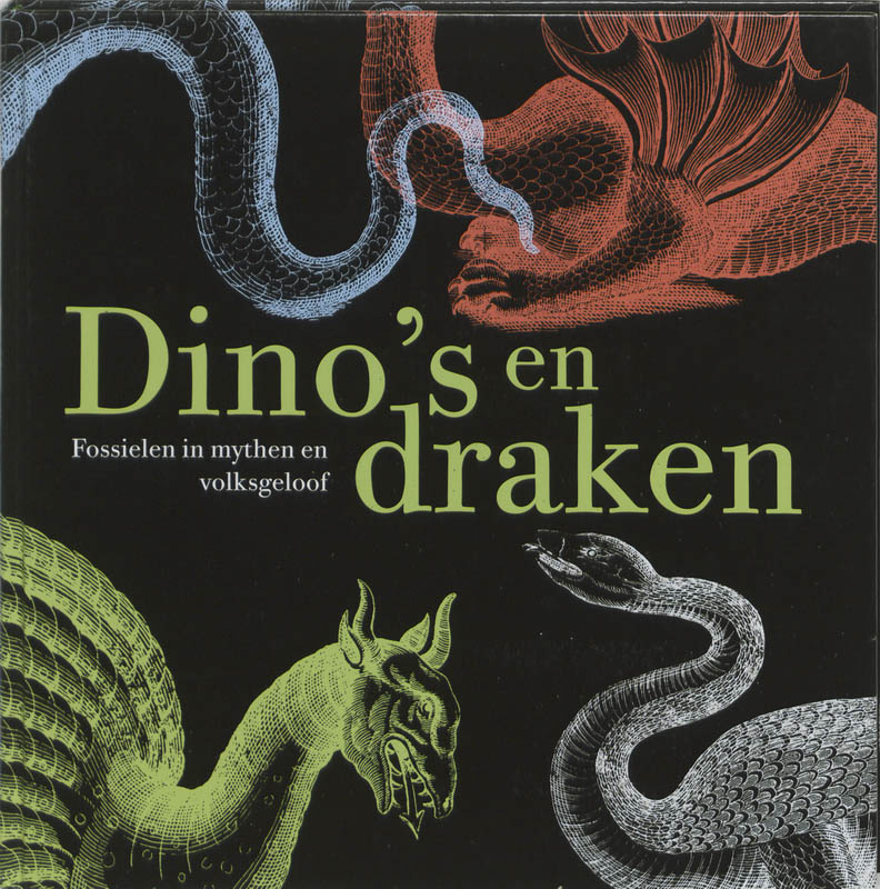Omslag van Dino's en draken