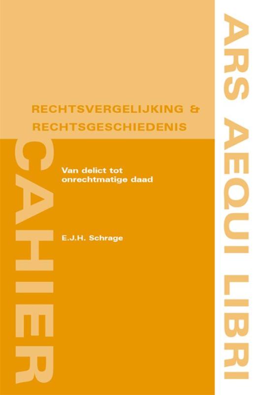 Omslag van Van delict tot onrechtmatige daad