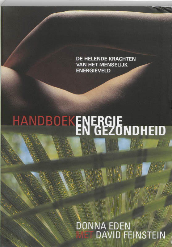 Omslag van Handboek energie en gezondheid