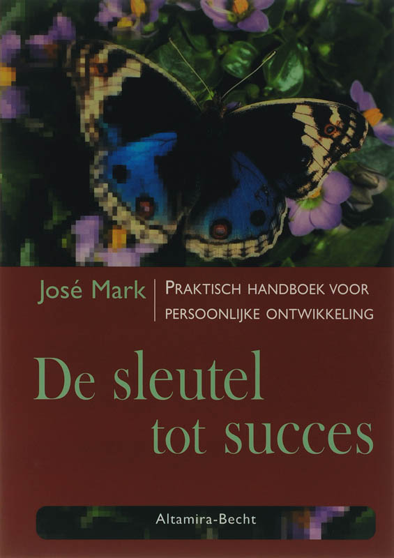 Omslag van De sleutel tot succes