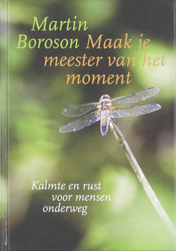 Omslag van Maak je meester van het moment