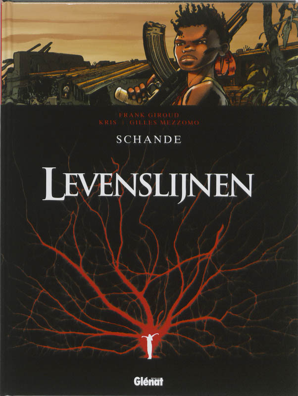 Omslag van Schande