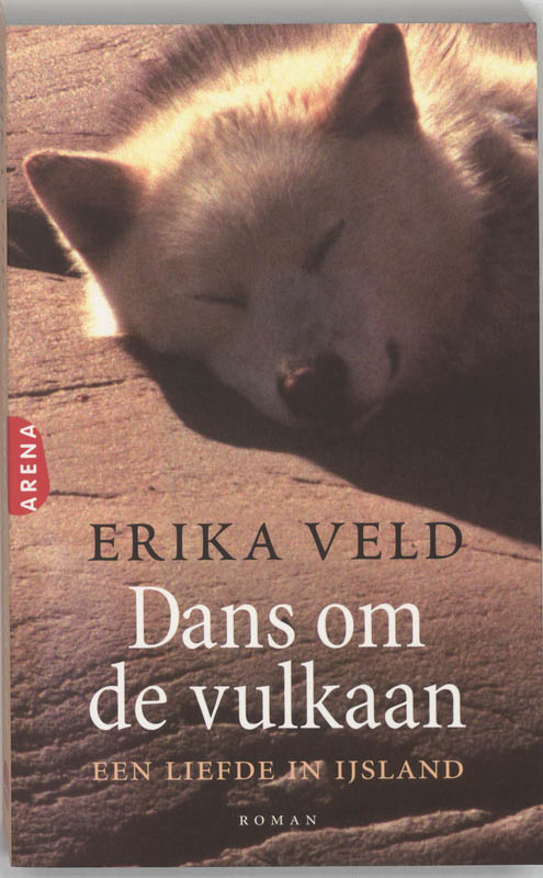 Omslag van Dans om de vulkaan