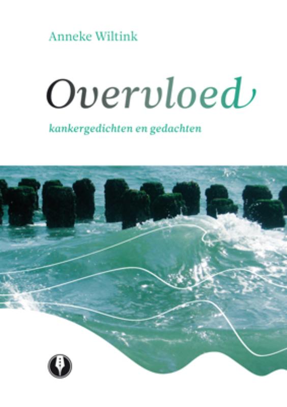 Omslag van Overvloed