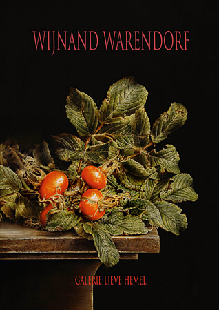 Omslag van Wijnand Warendorf