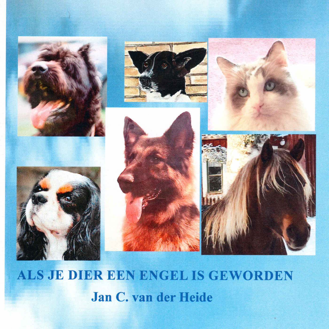 Omslag van Als je dier een engel is geworden