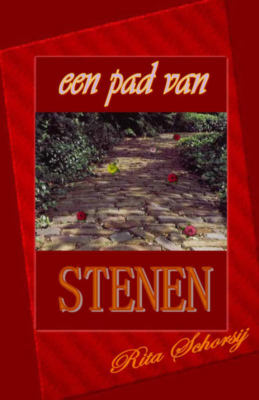 Omslag van Een pad van stenen