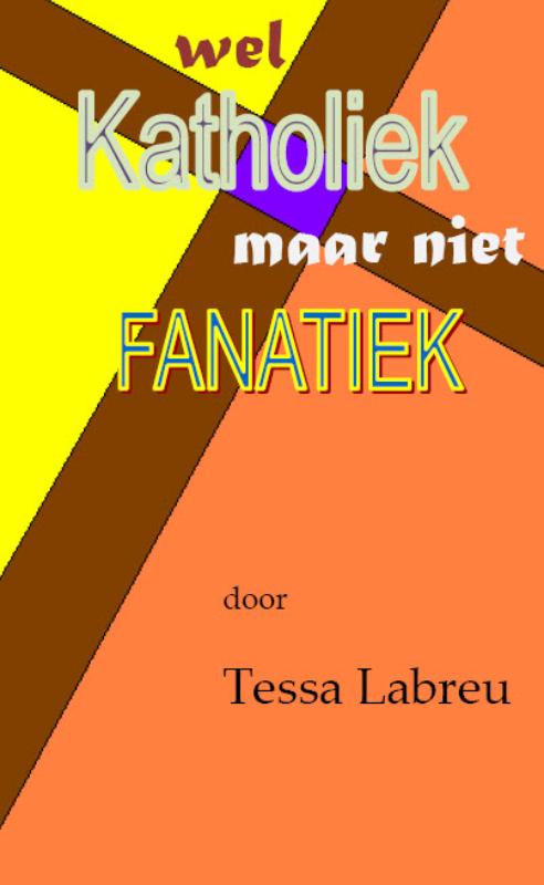 Omslag van Katholiek maar niet Fanatiek