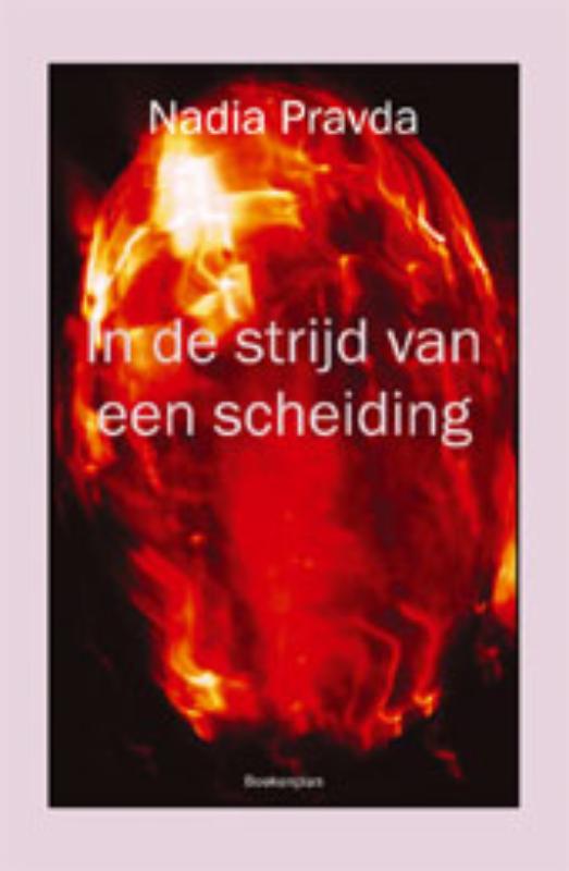 Omslag van In de strijd van een scheiding