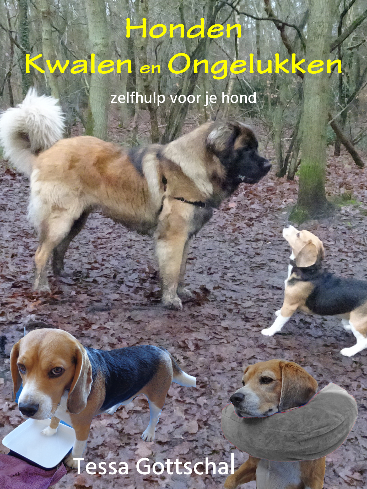 Omslag van Honden kwalen en ongelukken