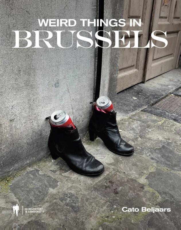 Omslag van Weird things in Brussels