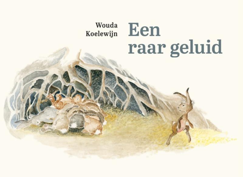 Omslag van Een raar geluid