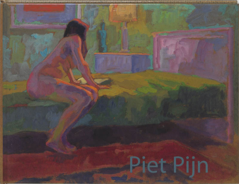 Omslag van Piet Pijn