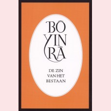 Omslag van De zin van het bestaan