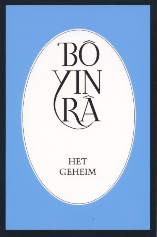 Omslag van Het geheim