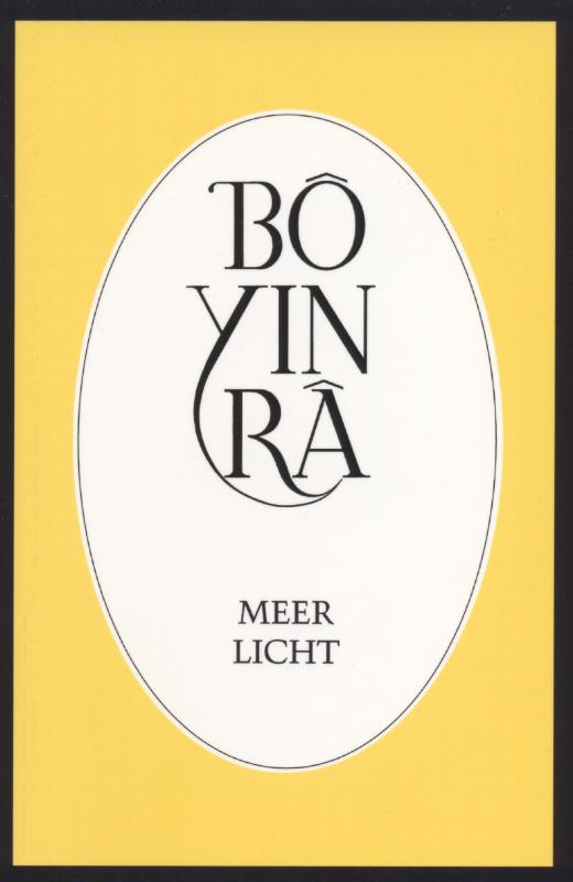 Omslag van Meer licht
