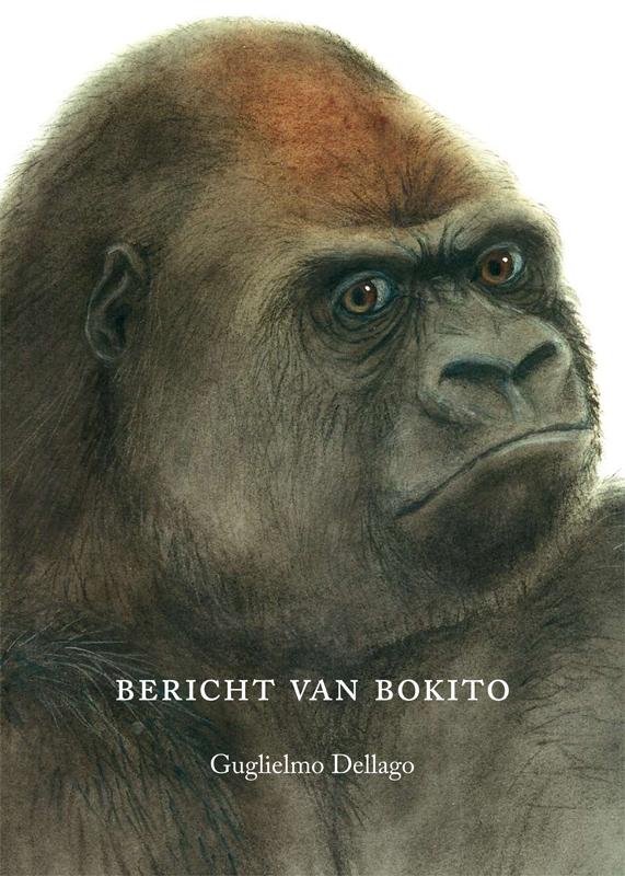Omslag van Bericht van Bokito
