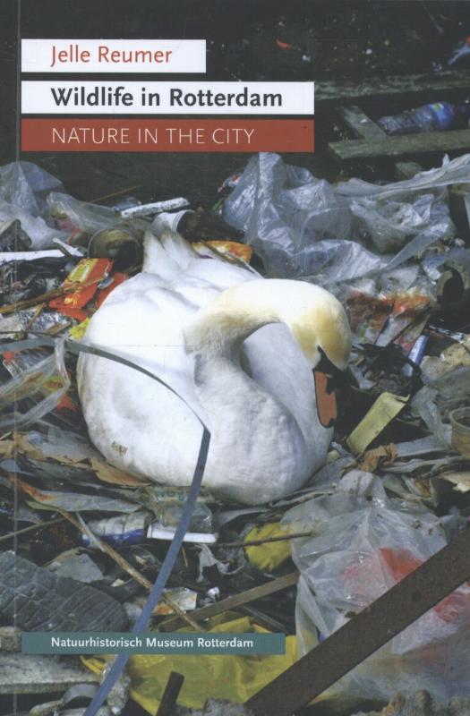 Omslag van Wildlife in Rotterdam