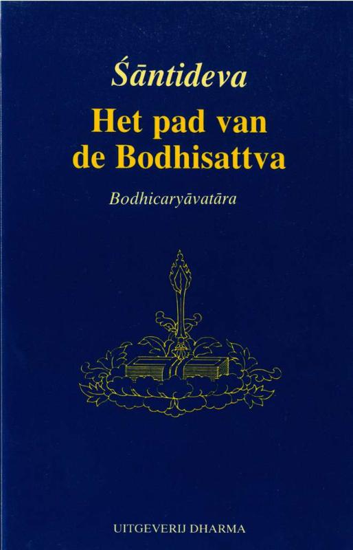 Omslag van Het pad van de Bodhisattva