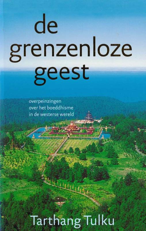 Omslag van De grenzeloze geest