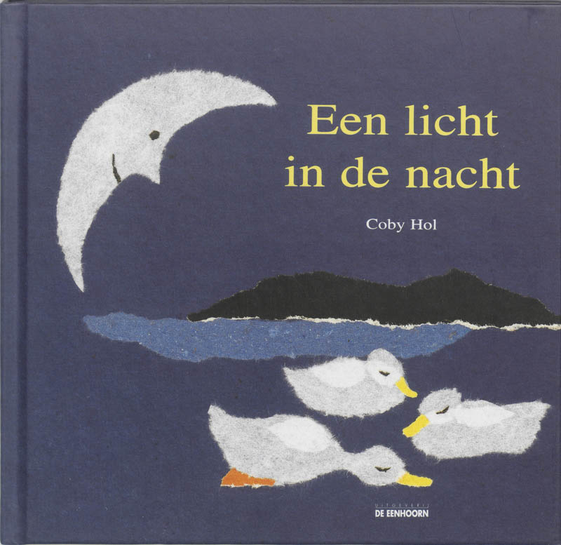 Omslag van Een licht in de nacht