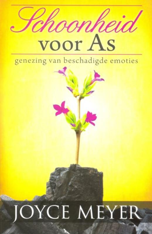 Omslag van Schoonheid voor as