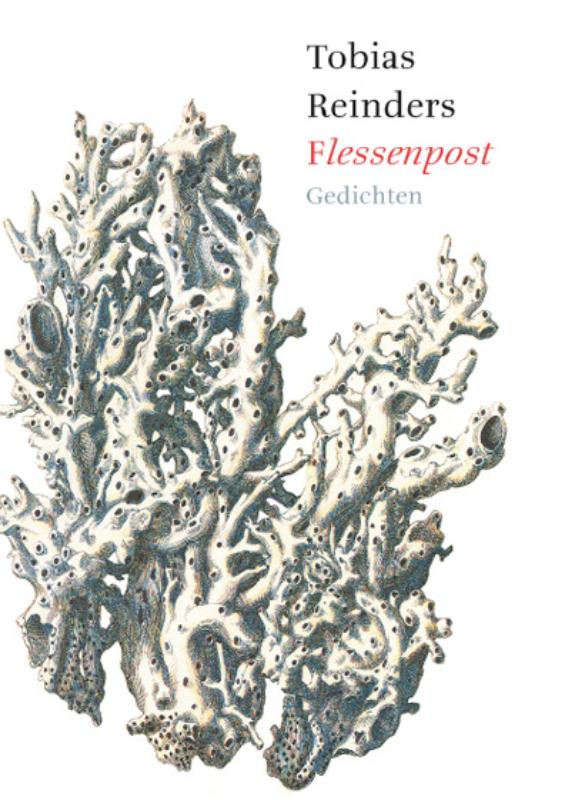 Omslag van Flessenpost
