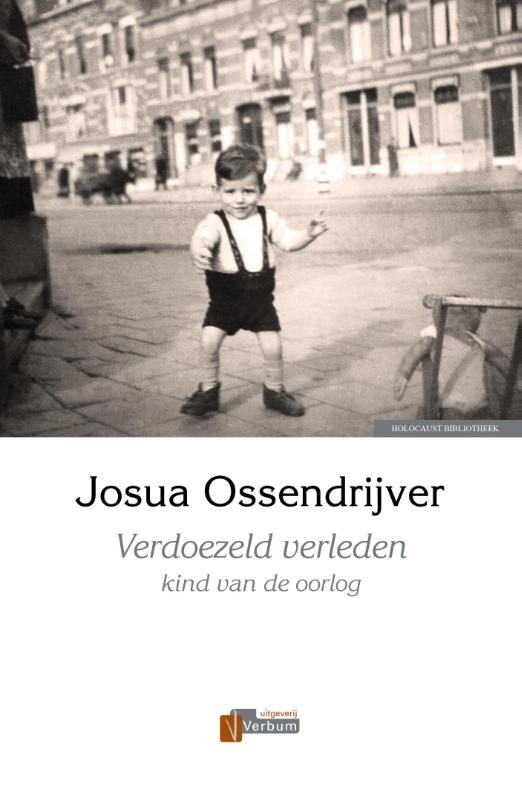 Omslag van Verdoezeld verleden