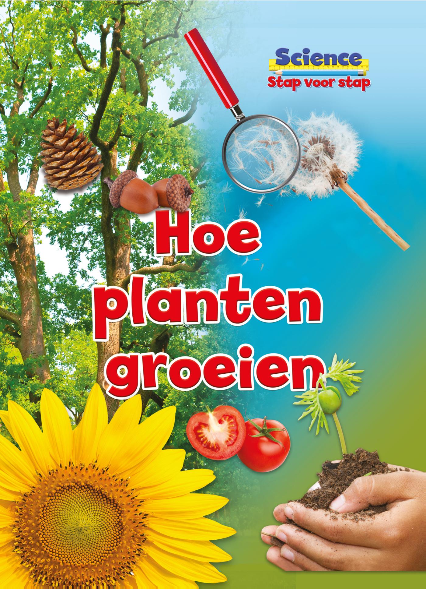 Omslag van Hoe planten groeien