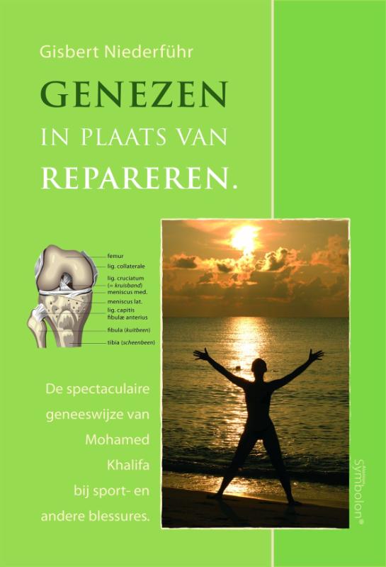 Omslag van Genezen in plaats van repareren
