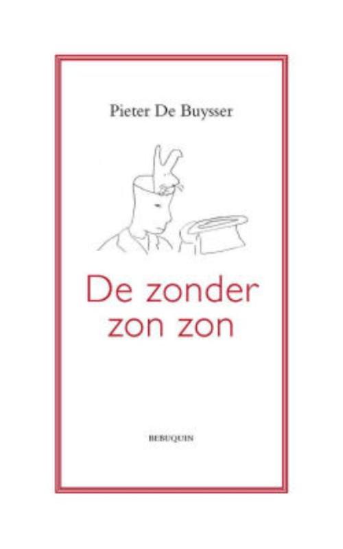 Omslag van De zonder zon zon