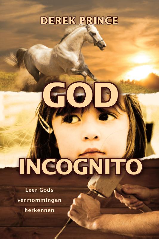 Omslag van God incognito
