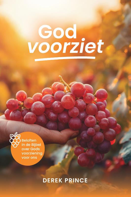 Omslag van God voorziet