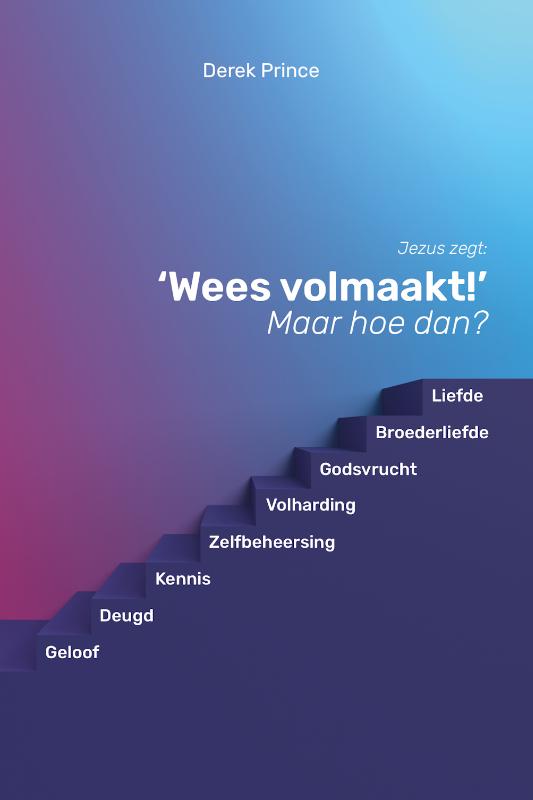 Omslag van Wees volmaakt, maar hoe?