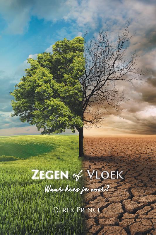 Omslag van Zegen of vloek