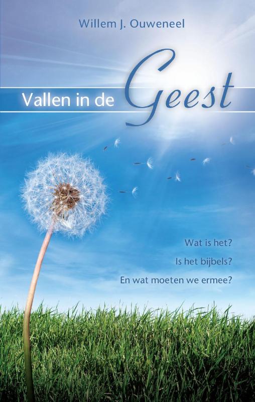 Omslag van Vallen in de Geest