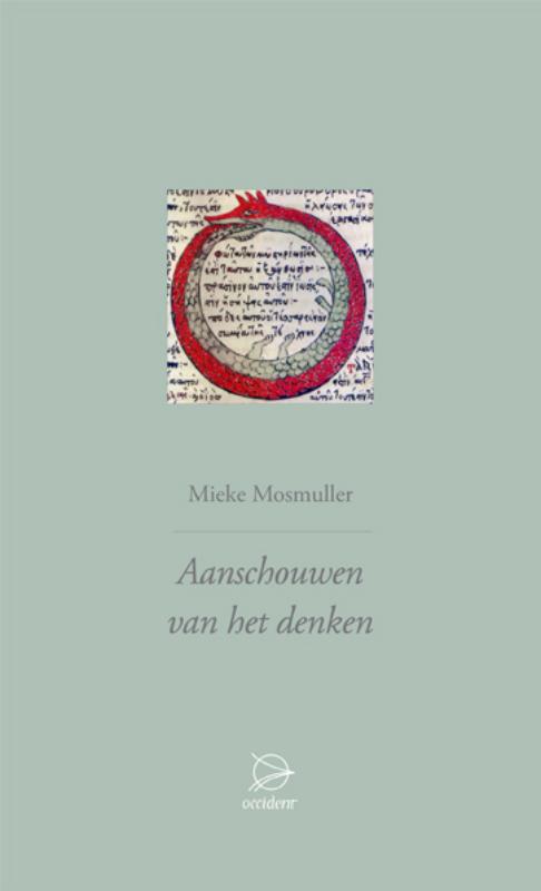 Omslag van Aanschouwen van het denken