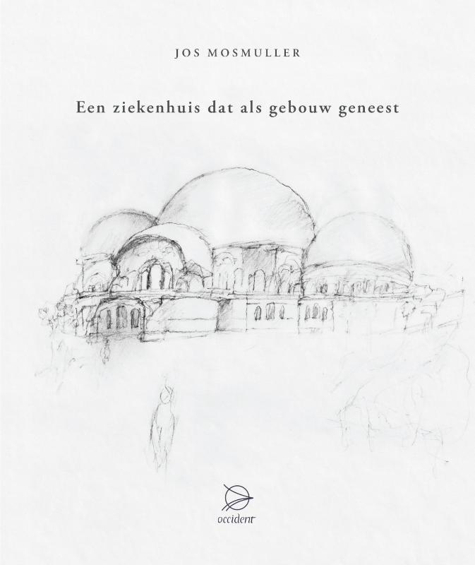 Omslag van Een ziekenhuis dat als gebouw geneest