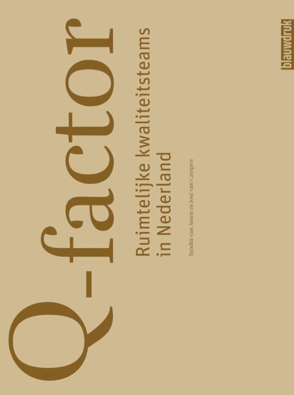 Omslag van Q-Factor