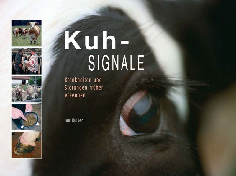 Omslag van Kuhsignale