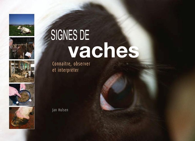 Omslag van Signes de vaches