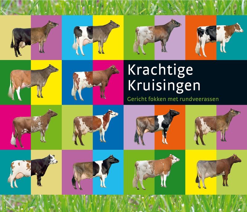 Omslag van Krachtige kruisingen