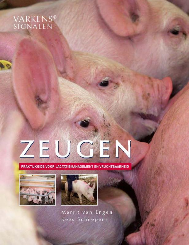 Omslag van Zeugen
