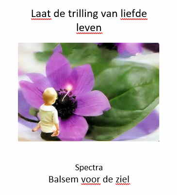 Omslag van Laat de trilling van liefde leven