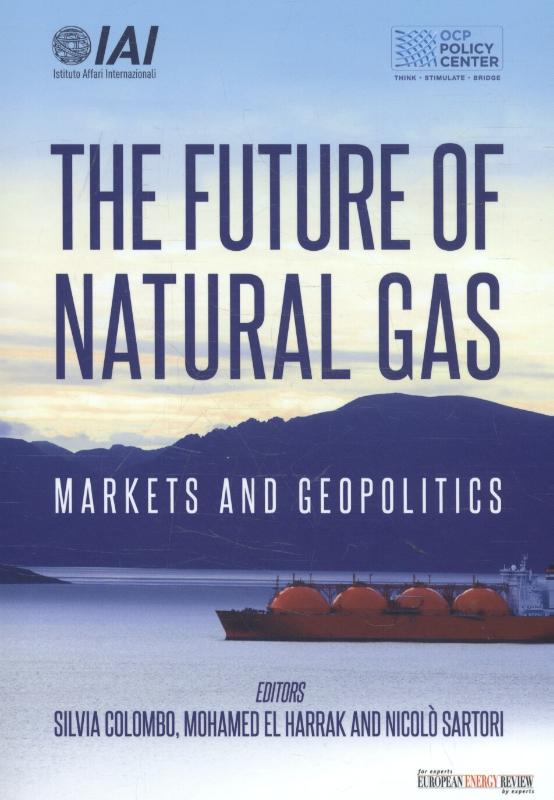 Omslag van The future of natural gas