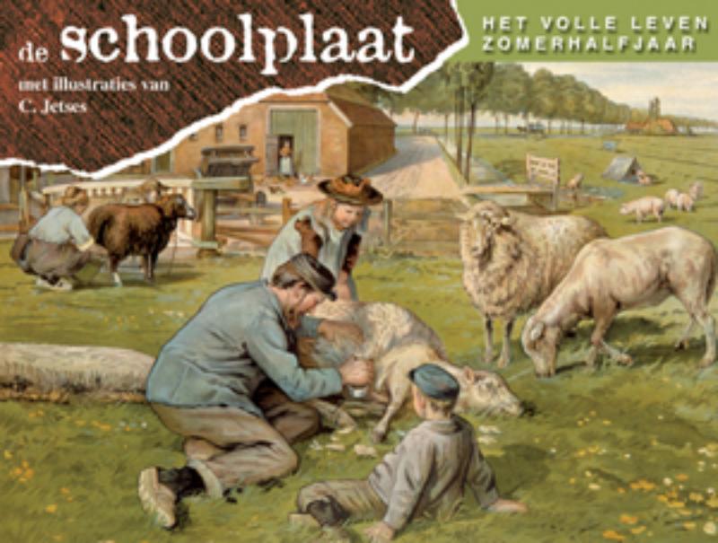 Omslag van Schoolplaat het volle leven zomerhalfjaar