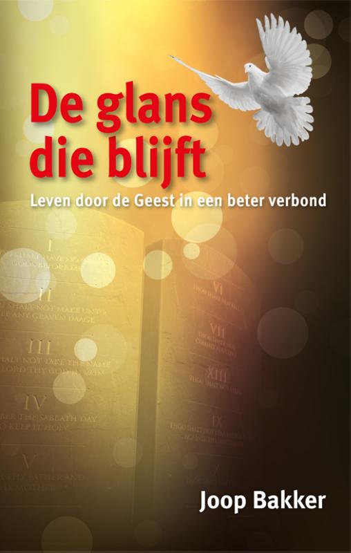 Omslag van De glans die blijft