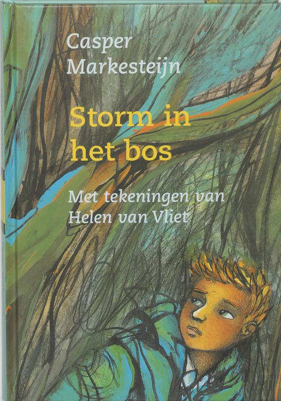 Omslag van Storm in het bos